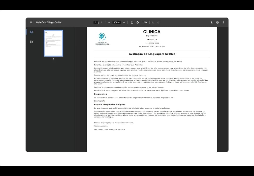 Pré-visualização de relatório em PDF